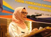 Pemprov Sumbar Klarifikasi Salah Ketik Usulan Nominal Lahan PSN Air Bangis