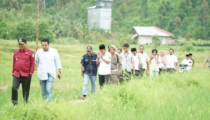 Pemkab Solok Selatan Kucurkan Lagi Rp3,6 Miliar untuk Pembangunan Jalan di Nagari Simancuang