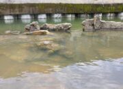 Batu Malin Kundang Tenggelam di Pantai Air Manis Padang