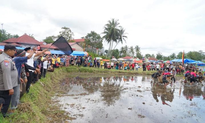 Alek Nagari Pacu Jawi di Nagari Cubadak Tanah Datar beberapa waktu lalu. Peredaran uang selama iven ini ditaksir mencapai Rp500 juta. IST