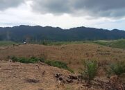 Warga Air Bangis Tuntut Dampak Konkret PSN