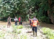 Pergi ke kebun Tak Kunjung Pulang, Warga Koto Baru Sijunjung Dilaporkan Hilang