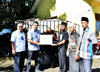 Jelang Idul Adha 1444 H, Semen Padang Salurkan 35 Hewan Kurban