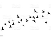 Kumpulan Puisi Terbaik Karya Najla Nazihah, Siswi SMP Al Ishlah Bukittinggi