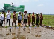 Berkolaborasi dengan Pemkab Padang Pariaman, BI Sumbar Buka Sekolah Lapang Iklim di Rawang Rokan