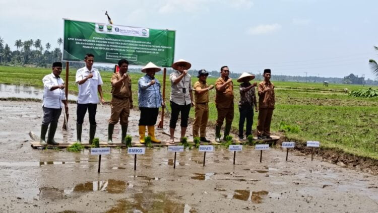 KERJA SAMA--Kesepakatan antara BI Sumbar dan pemerintah daerah Padang Pariaman yang berkolaborasi dengan BMKG dalam SLI, Senin (25/9) di Rawang Lokan Kabupaten Padang Pariaman. WINDA