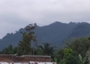 Kualitas Udara Menurun, Warga Kota Padang Diimbau Gunakan Masker