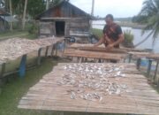 Pengolah Ikan Asin di Pasaman Barat Keluhkan Kenaikan Harga Garam