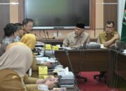 JICA Perluas Kerja Sama dengan Pemprov Sumbar