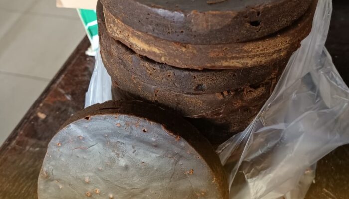 BUMNag Sungai Aua Madani Pasaman Barat Sukses Produksi Gula Merah Kelapa Sawit Berkualitas Tinggi