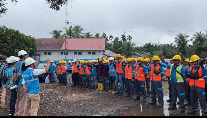 PLN Tutuah Abih Pepohonan yang Ganggu Jaringan di Pasaman Barat
