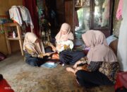 Dinkes Pessel Gencarkan Skrining Hipotiroid Kongenital untuk Antisipasi Gangguan Tumbuh Kembang Bayi