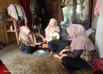 Dinkes Pessel Gencarkan Skrining Hipotiroid Kongenital untuk Antisipasi Gangguan Tumbuh Kembang Bayi