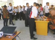 CPNS 2024, Pemerintah Buka 250 Ribu Formasi