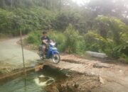 Satu Pekan Pascaputus, Jalan Penghubung Simpang Kapuak – Taeh Bukik Baru Diperbaiki Secara Swadaya