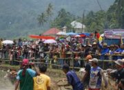 Alek Pacu Jawi Makin Bergairah di Tanah Datar Berkat Program Bupati “Satu Nagari Satu Iven”