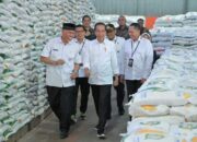 Bantuan Beras Diperpanjang Hingga Juni 2024, Presiden Perintahkan Menkeu Bayar Hutang Bulog Rp16 Triliun