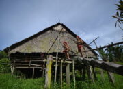 Menunggu Janji Presiden Jokowi untuk Bumi Sikerei