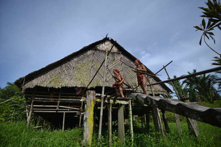 Kedatangan Presiden RI, Joko Widodo ke Kabupaten Kepulauan Mentawai Rabu (25/10) lalu diharapkan melahirkan aksi konkret bagi masa depan pembangunan Kabupaten Kepulauan Mentawai yang sampai saat ini masih menjadi satu-satunya daerah berstatus Terdepan, Terpencil dan Tertinggal (3T) di Sumatra Barat (Sumbar). WIKIGRAPHY