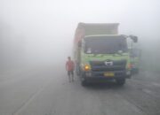 Kabut Asap Tebal, Jarak Pandang Sitinjau Lauik Hanya Tiga Meter