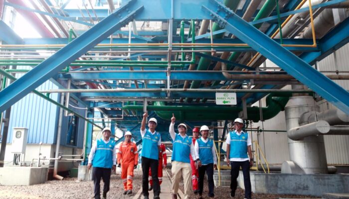 Plant Pertama Beroperasi, Dirjen EBT Kemen-ESDM Puji Cara Cepat PLN Hasilkan Green Hydrogen