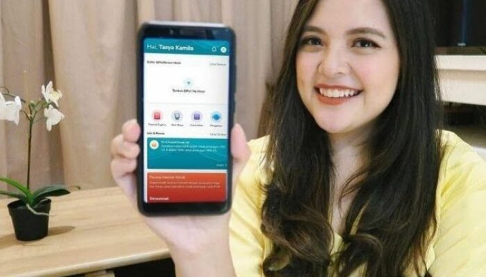 GRATIS Ongkir di Promo 10.10 Harbolnas, Ayo Belanja Puas Produk UMKM di Marketplace PLN Mobile