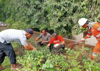 Jaga Kebersihan Lingkungan, Semen Padang Canangkan Gerakan SERO