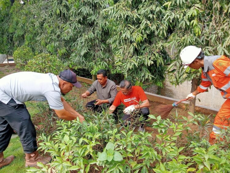 Direktur Operasi PT Semen Padang, Indrieffouny Indra tengah bergotong royong bersama karyawan dan tenaga outsorcing membersihkan taman yang ada di Pos II PT Semen Padang, Selasa (17/10). IST