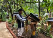 Forum Nagari Bandar Buat Segera Panen Madu Galo-galo