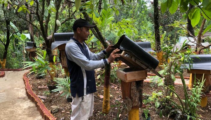 Forum Nagari Bandar Buat Segera Panen Madu Galo-galo