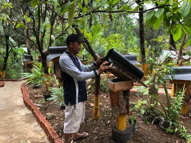 Ketua Forum Nagari Kelurahan Bandar Buat Dahrulsyah di lokasi budidaya madu galo-galo. IST