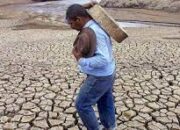 Sumbar Mulai Terdampak El Nino