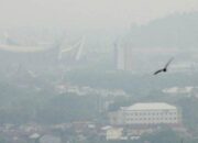 Kualitas Udara Semakin Tidak Sehat, Pemda Harus Siapkan Akses Kesehatan yang Layak