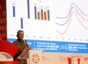 Wakil Menteri Keuangan Suahasil Nazara : Sukuk Sumber Penting Pembiayaan APBN