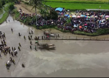 HUT Haluan 75 Tahun “Mencerdaskan Kehidupan Masyarakat”