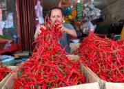 Sumbar Rawan Kenaikan Harga Pangan, Tersebab Pemetaan Sentra Pertanian yang Buram