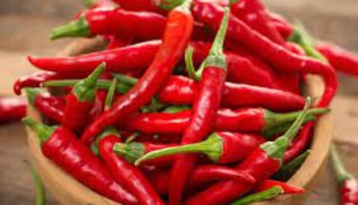 Dinas Pertanian Sumbar Siapkan Langkah Tekan Kenaikan Harga Cabai