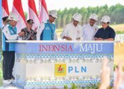100% Energi Bersih, Pembangunan PLTS PLN 50 MW di IKN Nusantara Dimulai