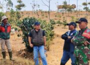 Tanam 86.211 Pohon Produktif, PLN Pulihkan 308 Ha Lahan Tandus Jadi Paru-paru Bumi Indonesia