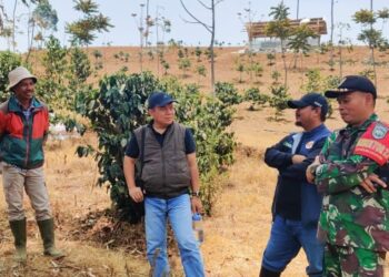 Tanam 86.211 Pohon Produktif, PLN Pulihkan 308 Ha Lahan Tandus Jadi Paru-paru Bumi Indonesia