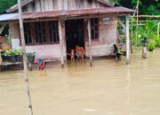 Banjir Bandang Akibatkan Seorang Balita di Aceh Tenggara Meninggal Dunia