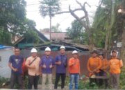 Pelayanan Maksimal, PLN dan DLH Padang Pangkas Pohon