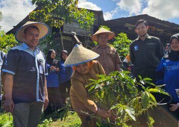 Kelompok Binaan Pabrik AQUA Solok Luncurkan Kopi Kayu Aro: Secangkir Kopi Merawat Bumi