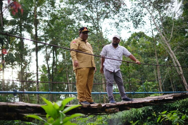 Bupati Padang Pariaman, Suhatri Bur dan PT. HKI meninjau kondisi Jembatan Gantung di Korong Lubuk Aro Tungka, Nagari Tandikek Kecamatan Patamuan.. AHR