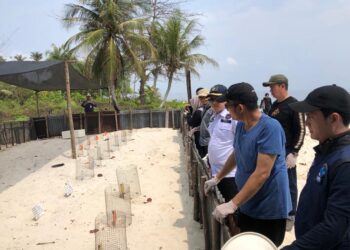 22.811 Wisman Datang ke Padang, Ini Cara Dispar Hitung Kunjungan Wisatawan!