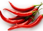 Surut Produksi di Akhir Tahun, Harga Cabai Melesat Naik