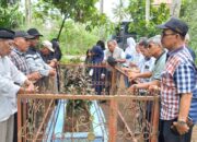 Puluhan Wartawan Sumbar, Ziarah ke Makam Mantan Ketua PWI Sumbar HKR Dt. P Simulie