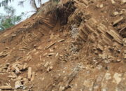 Sempat Dihentikan Sementara, Aktivitas Penambangan di Lokasi ODCB Surantih Kembali Berjalan