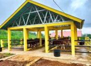 Pemkab Solok Selatan Optimalkan Program Suka Sapi