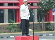 Sumbar Bertekad Jadi Lumbung Padi dan Jagung